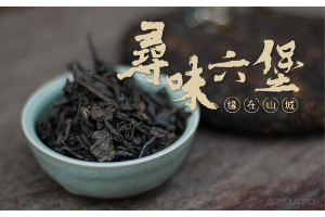 Sanhe (三鹤) Liupao Tea – Wholesale from China's Premier Time-Honored Tea Factory