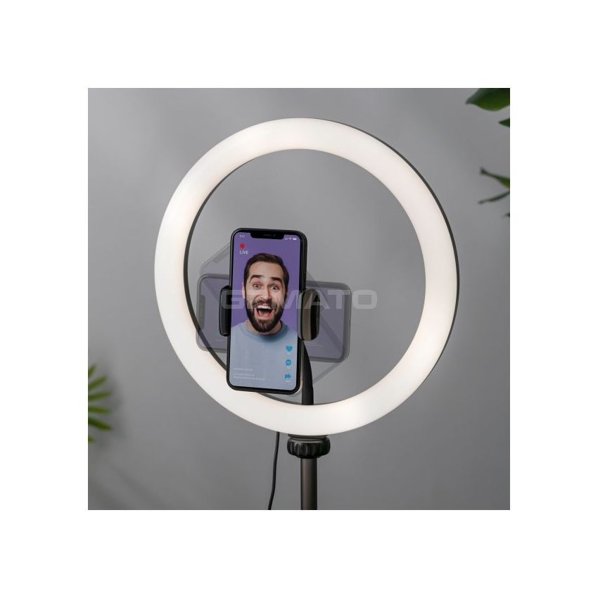 MOMAX V. Log Livestream Ring Light 12”