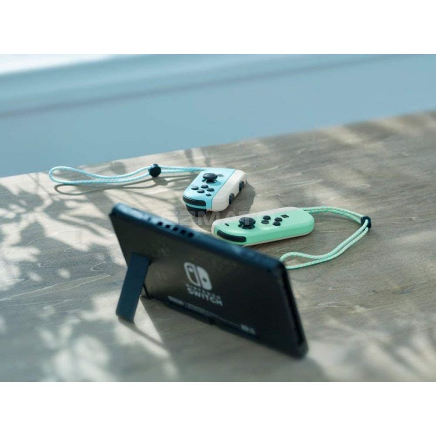 Nintendo Switch - Animal Crossing: New Horizons Edition - Switch