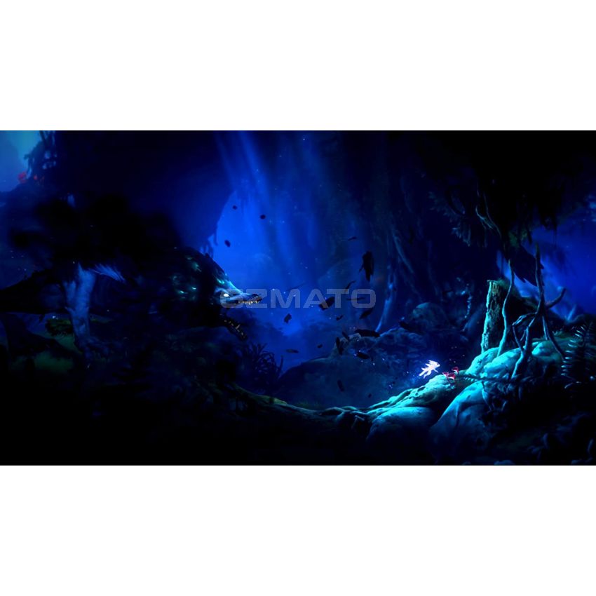 Ori and The Will of The Wisps -Nintendo Switch