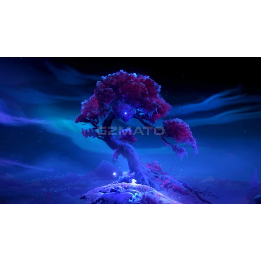 Ori and The Will of The Wisps -Nintendo Switch