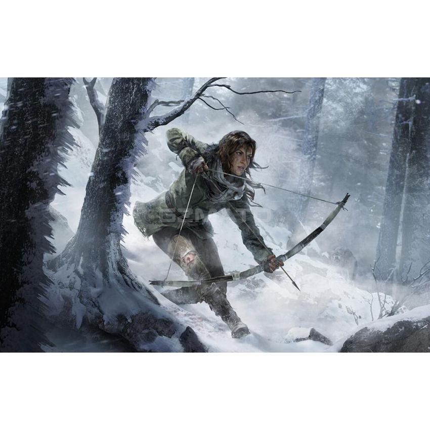 Rise of The Tomb Raider 20 Year Celebration - PlayStation 4