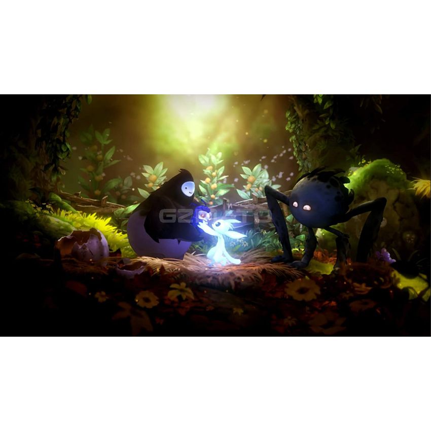 Ori and The Will of The Wisps -Nintendo Switch