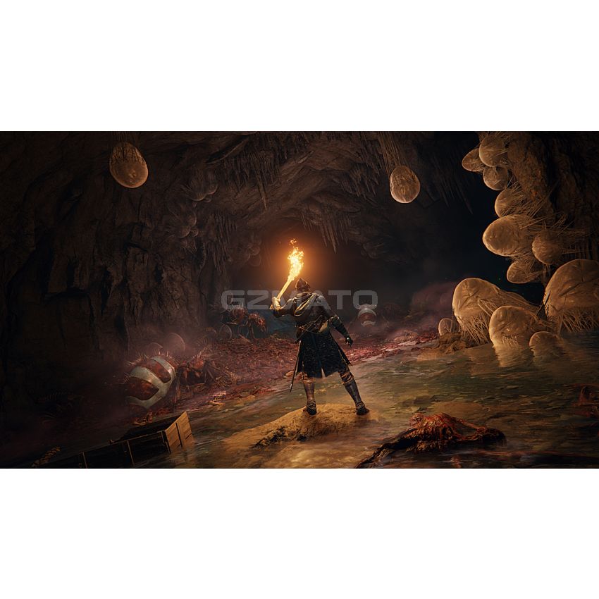 Elden Ring Standard Edition - PlayStation 5