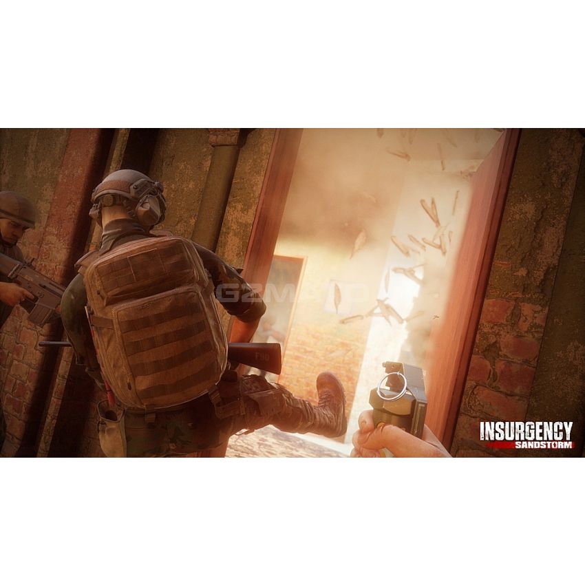 Insurgency Sandstorm Standard Edition - PlayStation 4