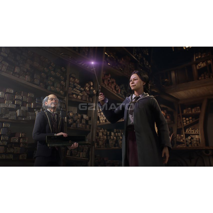 Hogwarts Legacy - PlayStation 4