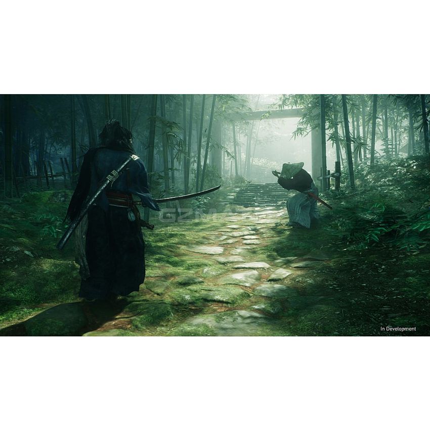 Rise of the Ronin - PlayStation 5