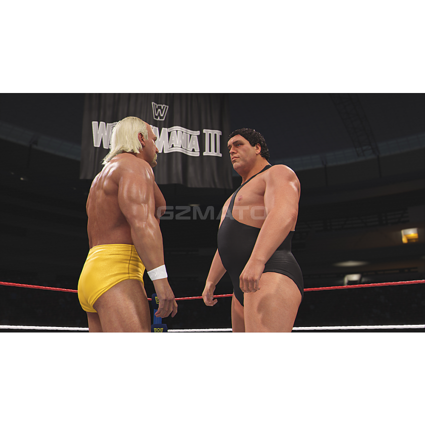 WWE 2K24 Standard Edition - PlayStation 5