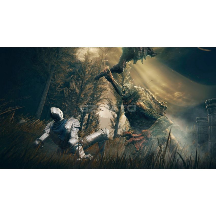 ELDEN RING Shadow of the Erdtree Edition - PlayStation 5