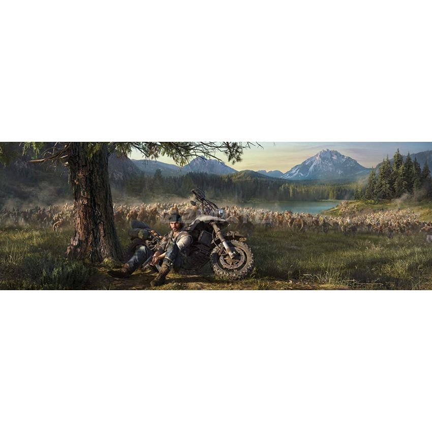 Days Gone - Playstation 4