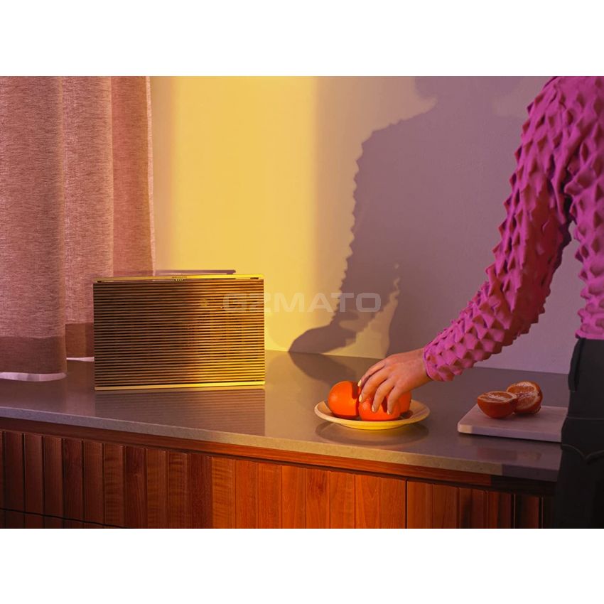 Bang & Olufsen Beosound Level Portable Wi-Fi Multiroom Speaker