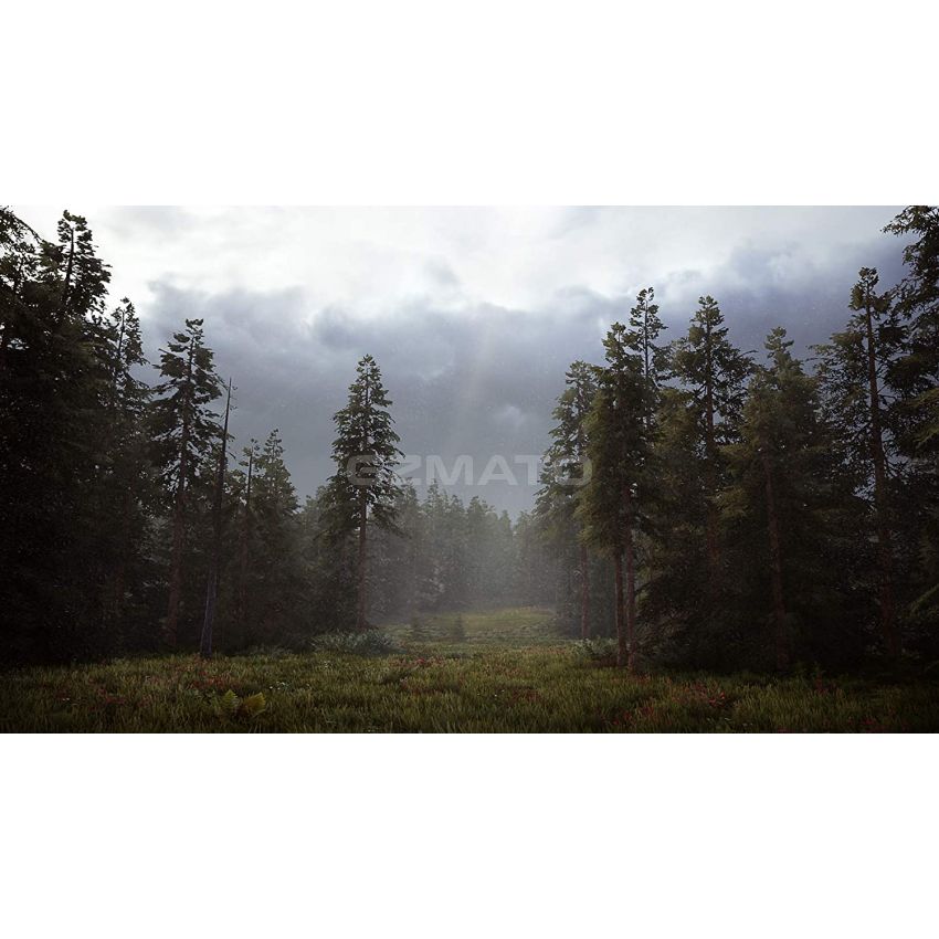 Hunting Simulator 2  - PlayStation 4