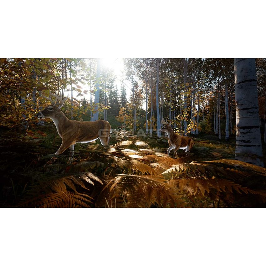 Hunting Simulator 2  - PlayStation 4