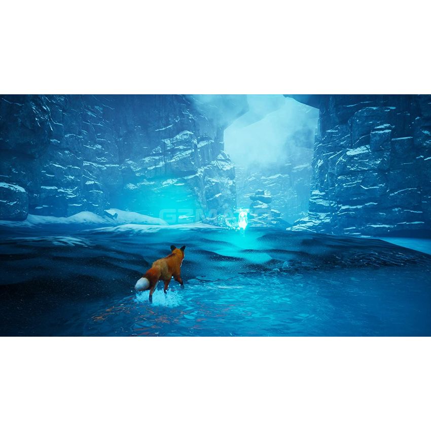 Spirit of The North - PlayStation 5 Standard Edition