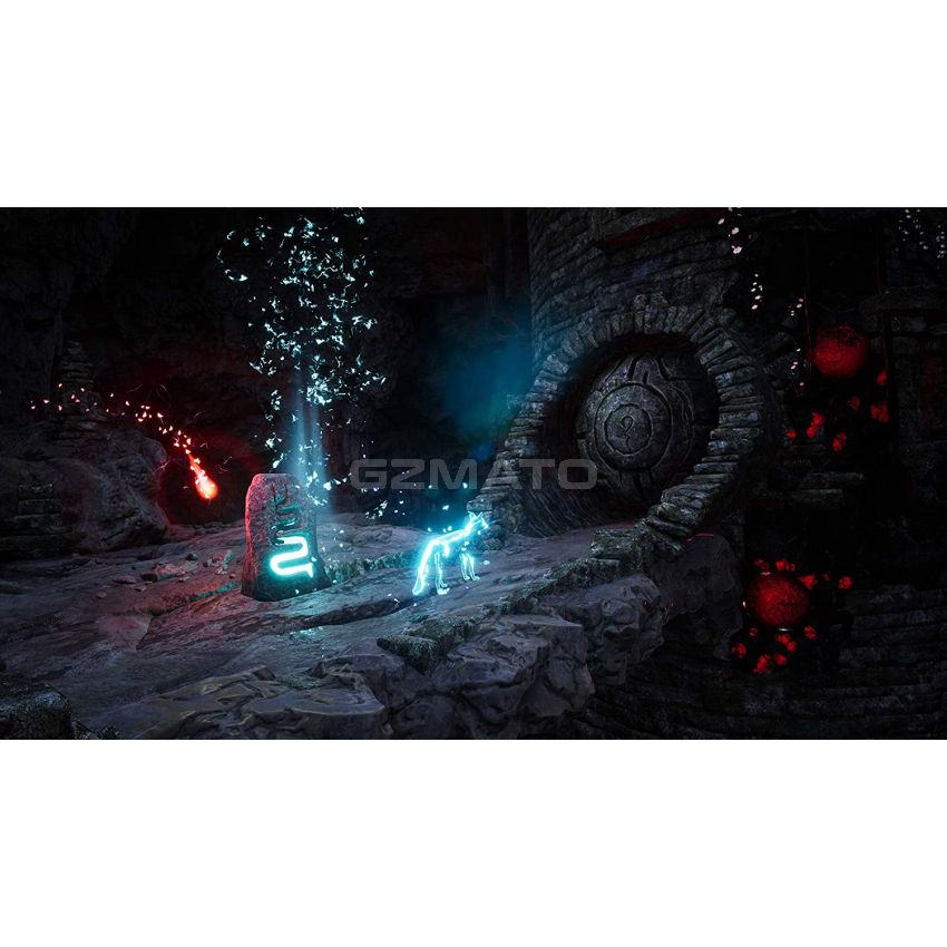 Spirit of The North - PlayStation 5 Standard Edition
