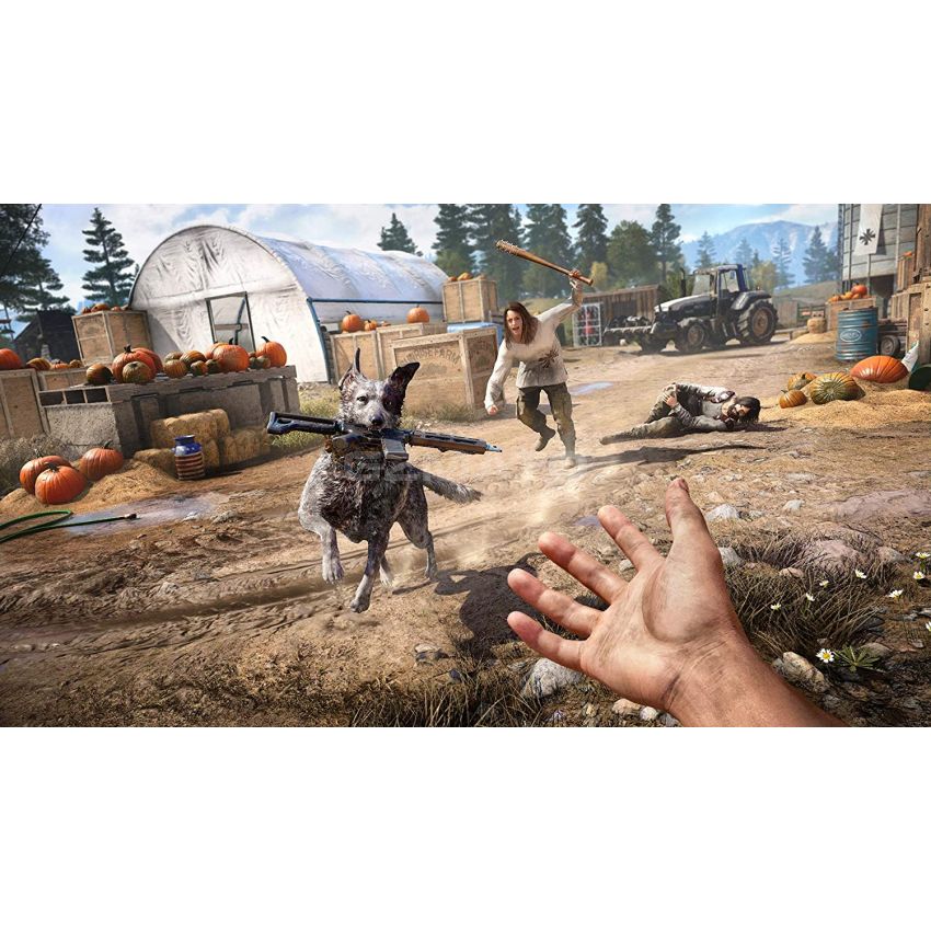Far Cry 5 - PlayStation 4