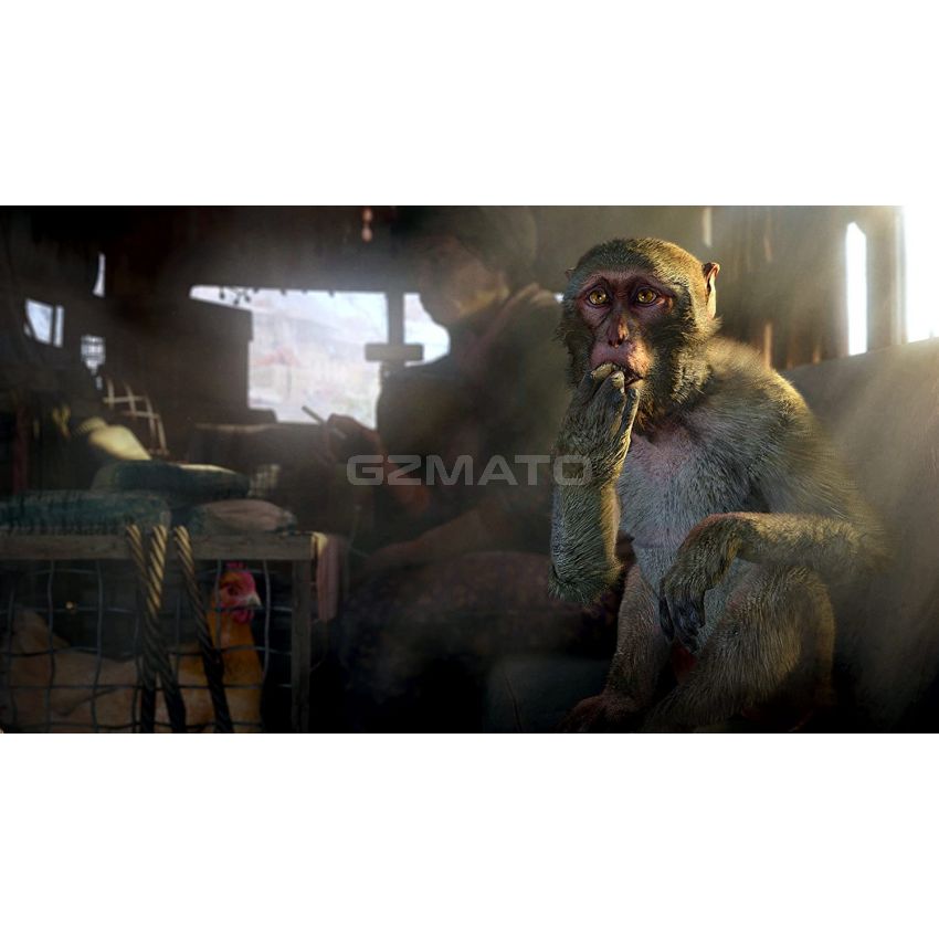Far Cry 4 - Standard Edition - PlayStation 4