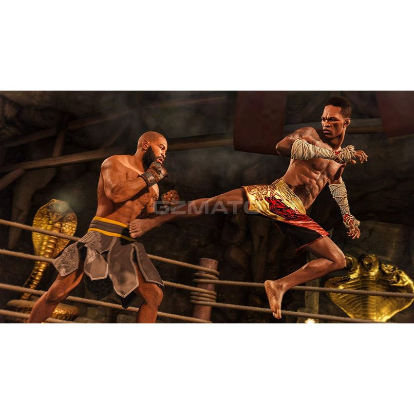 EA SPORTS UFC 4 - PlayStation 4