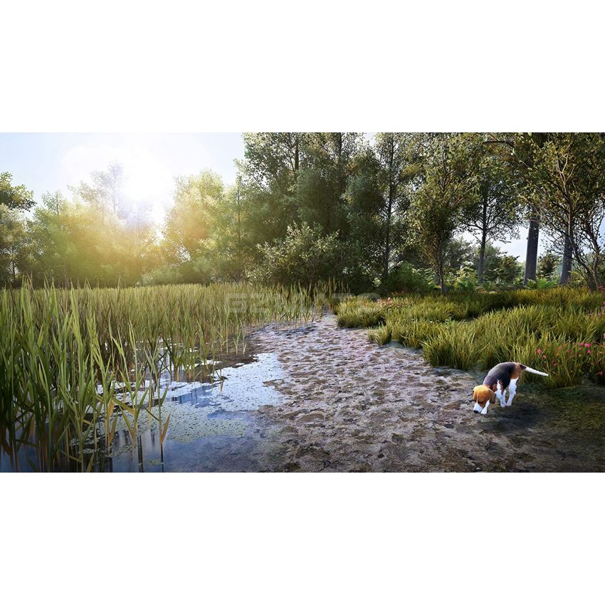 Hunting Simulator 2  - PlayStation 4