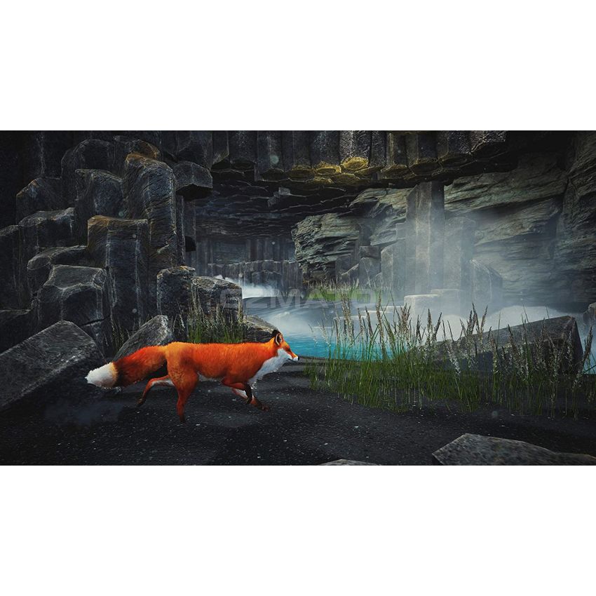 Spirit of The North - PlayStation 5 Standard Edition