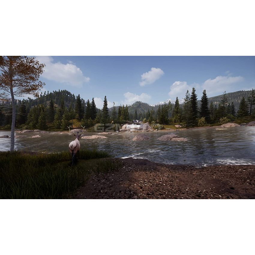 Hunting Simulator 2  - PlayStation 4