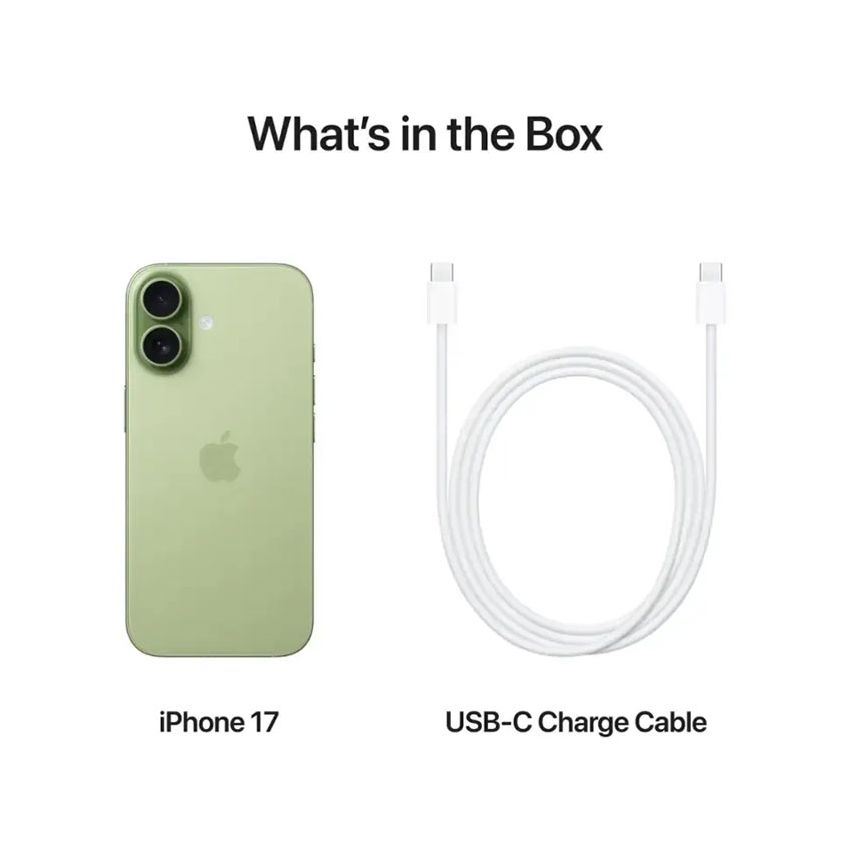 Apple - iPhone 17 - 256GB - Factory Unlocked - Sage