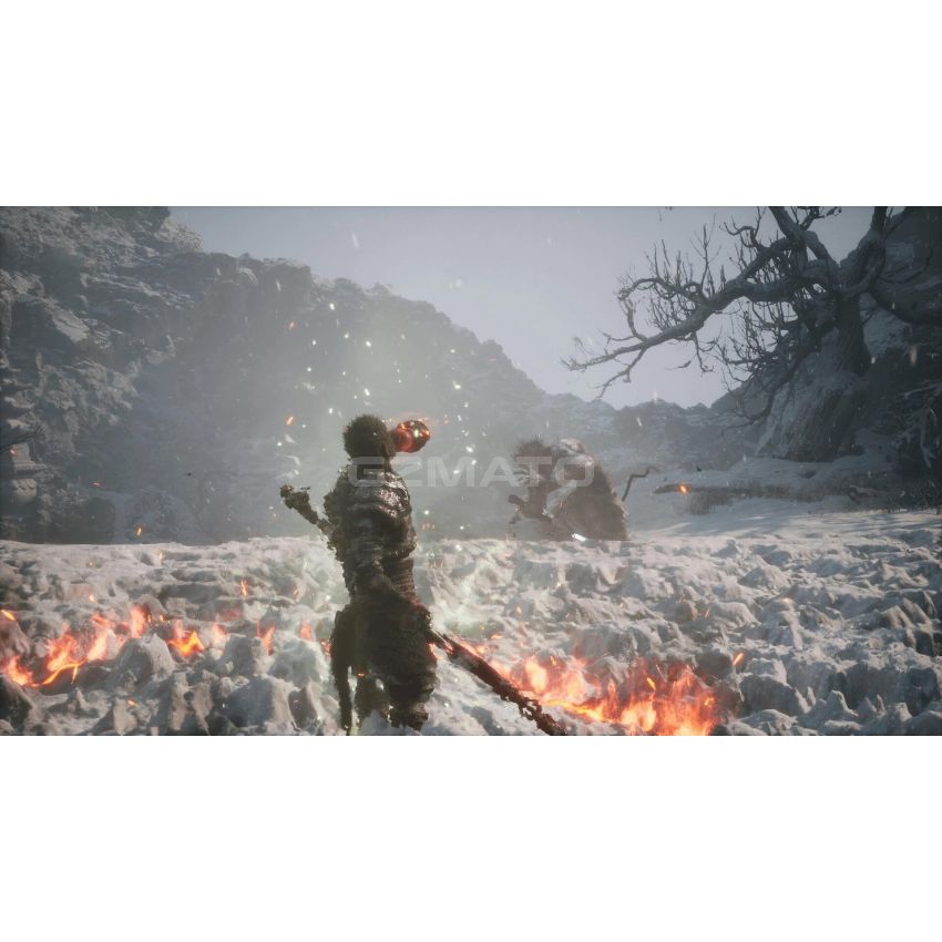 Black Myth: Wukong Standard Edition - PlayStation 5