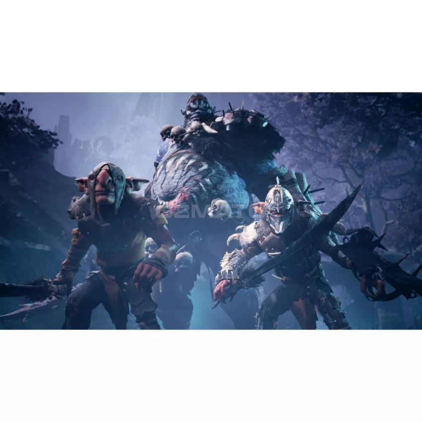 Dungeons & Dragons: Dark Alliance - PlayStation 5
