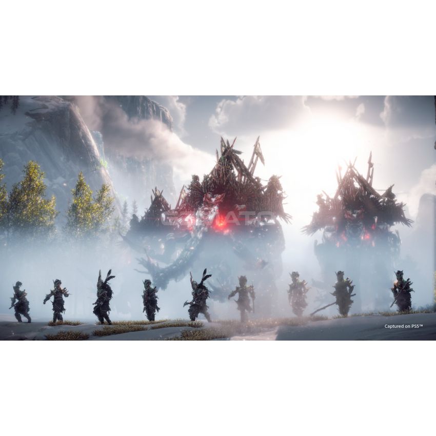 Horizon Forbidden West Standard Edition - PlayStation 5
