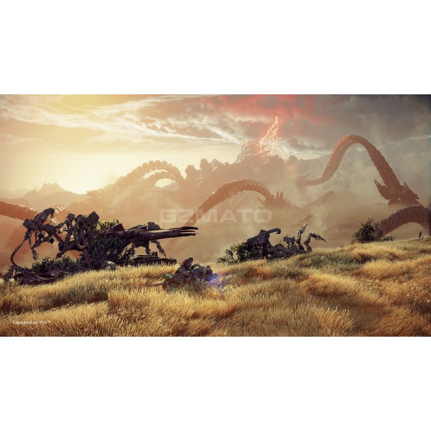 Horizon Forbidden West Standard Edition - PlayStation 5