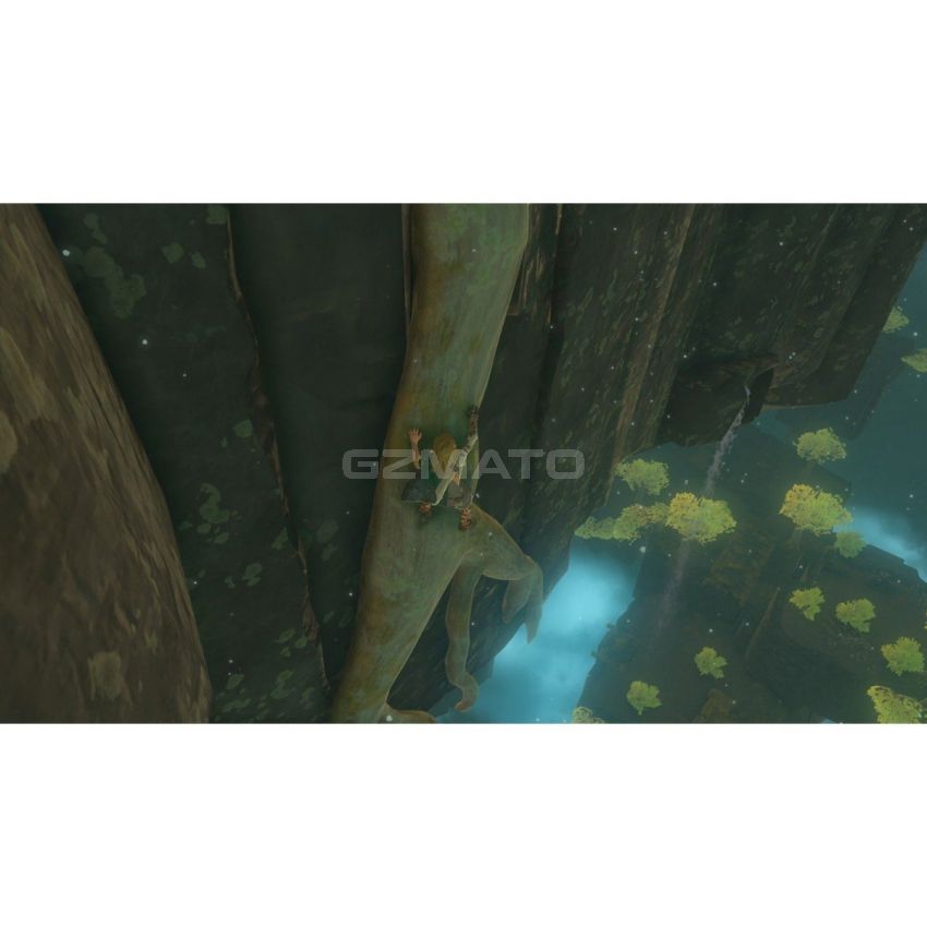 The Legend of Zelda: Tears of the Kingdom - Nintendo Switch
