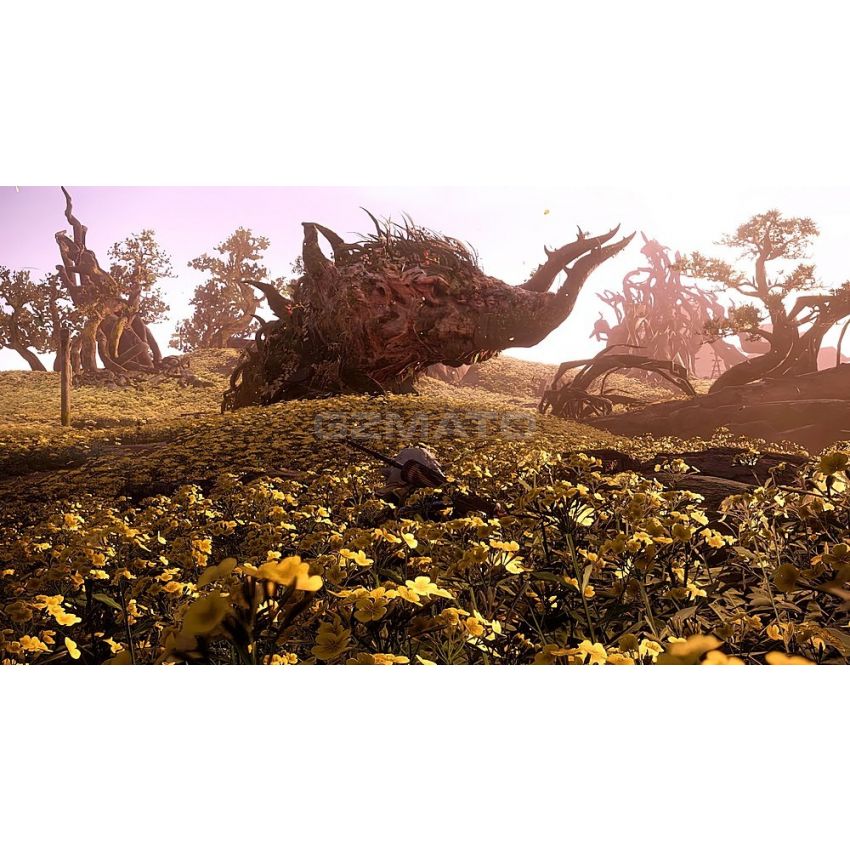 Wild Hearts - PlayStation 5