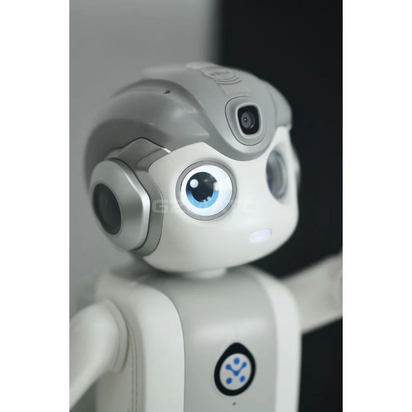UBTECH Alpha Mini AI Smart Robotics, Early Education Programming Learning for Children