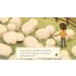 Story of Seasons: Pioneers of Olive Town - Nintendo Switch
