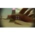 Metal Max Xeno Reborn - PlayStation 4