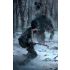 Rise of The Tomb Raider 20 Year Celebration - PlayStation 4
