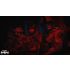 Call of Duty: Modern Warfare II - Cross-Gen Bundle - PlayStation 4