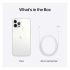 NEW Apple iPhone 12 Pro Max 128GB HK Version, Factory Unlocked, Cellular Global, Silver