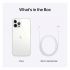 NEW Apple iPhone 12 Pro Max 6.7-Inch 128GB, CN Version Factory Unlocked, Global 5G Carrier No Warranty - Bright Star Resources-Silver