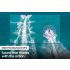 SAMSUNG 55-inch Class QN85A Series – Neo QLED 4K Smart TV (2021 Model)