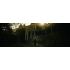 Resident Evil 7 Biohazard - PlayStation 4