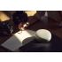 Bang & Olufsen Beosound A1 (2nd Generation) Wireless Portable Waterproof Bluetooth Speaker with Microphone