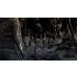 The Walking Dead: The Telltale Definitive Series - PlayStation 4