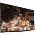 Sony XBR-65A9G 65 Inch TV