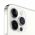 NEW Apple iPhone 12 Pro Max 6.7-Inch 256GB, CN Version Factory Unlocked, Global 5G Carrier No Warranty - Bright Star Resources-Silver