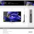 Sony XBR-65A9G 65 Inch TV