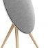 Bang & Olufsen Beosound A9 (5th Generation) - Iconic and Powerful Multiroom WiFi and Bluetooth Home Speaker with Active Room Compensation