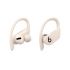 Powerbeats Pro Wireless Earbuds - Apple H1 Headphone Chip, Class 1 Bluetooth Headphones, 9 Hours of Listening Time, Sweat Resistant, Built-in Microphone - -White