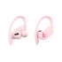 Powerbeats Pro Wireless Earbuds - Apple H1 Headphone Chip, Class 1 Bluetooth Headphones, 9 Hours of Listening Time, Sweat Resistant, Built-in Microphone - -Pink