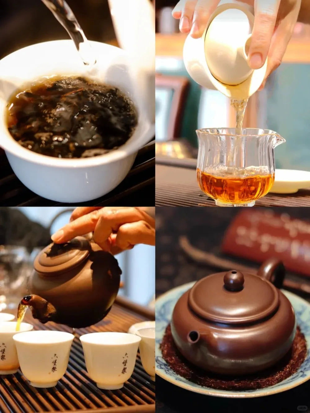 Gongfu Brewing Sanhe Liupao Tea
